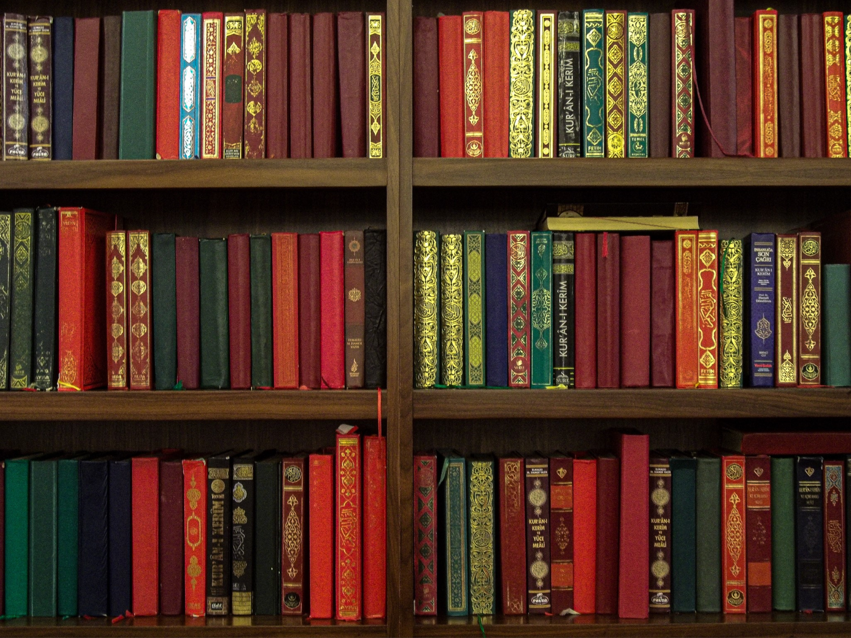 bookshelves filled with books in a library